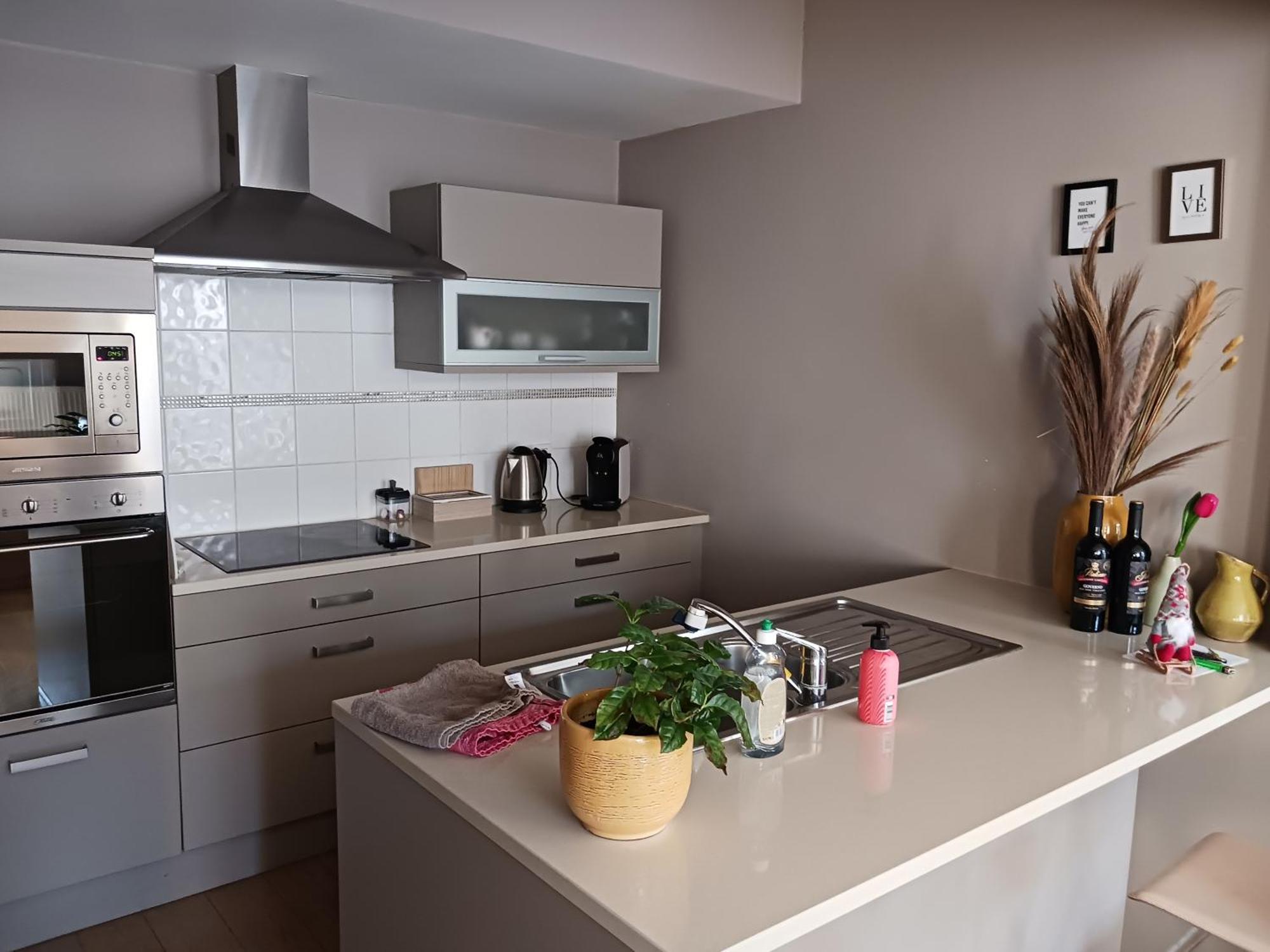 Appartement L'ane Center & Parking *