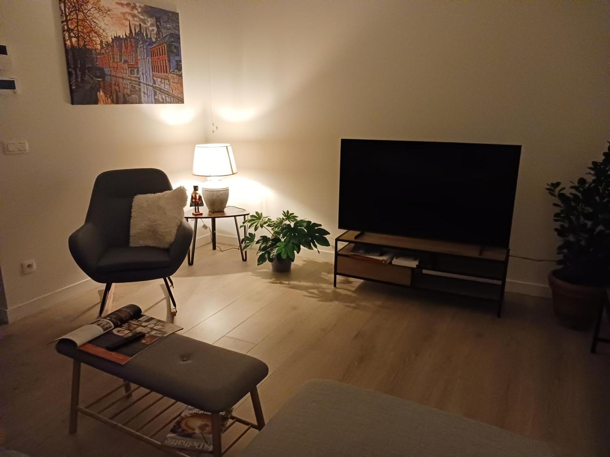 Appartement L'ane Center & Parking Brugge
